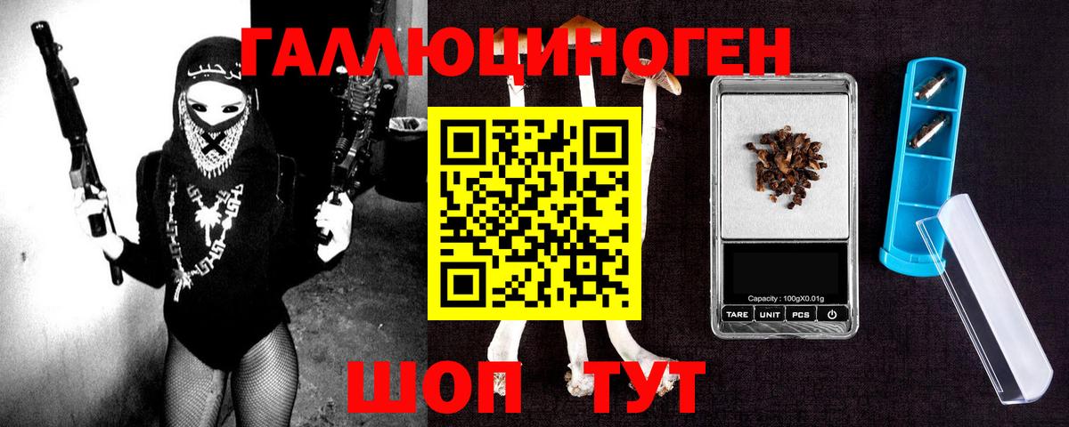Галлюциногенные грибы Cubensis Тимашёвск